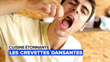 Cuisine étonnante : les crevettes dansantes