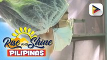 90% ng HEA, naipamahagi na sa mga health workers ng bansa