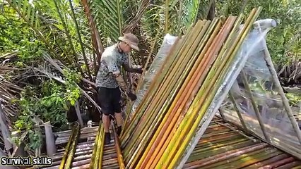 5 days built a shelter with p2 water coconut trees bushcraft survival camping