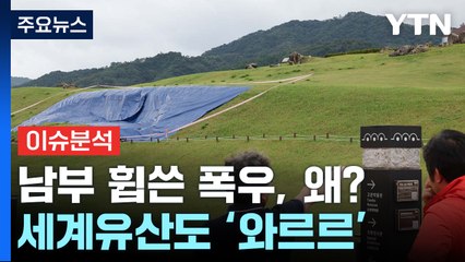 [뉴스퀘어10] 폭염·폭우 끝에 찾아온 가을...올해는 단풍 볼 수 있나? / YTN