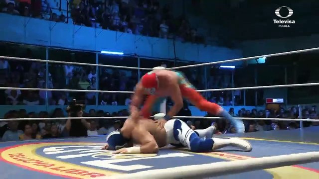 Guerrero Maya Jr., Pegasso, Stigma vs Blue Panther Jr., Dark Panther, Hijo de Blue Panther