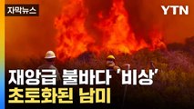 [자막뉴스] 남미 전 지역 '활활'... 불길 뒤덮은 심각한 상황 / YTN