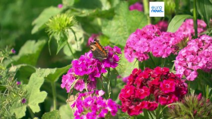 Nachrichten des Tages | 23. September - Morgenausgabe