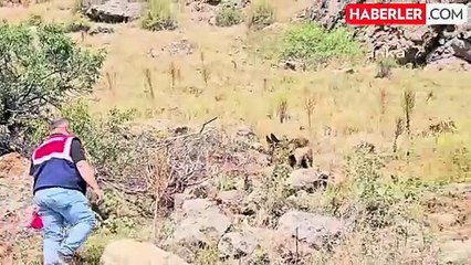 Jandarma'dan Narkoçelik-40 Operasyonu: 4 Ton Uyuşturucu Madde Ele Geçirildi