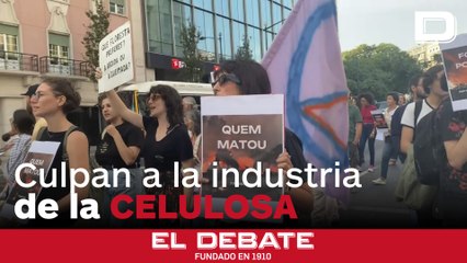 Las protestas en Portugal ponen el foco en industria de la celulosa como responsable del fuego