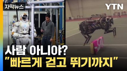 [자막뉴스] '인공 근육' 사용한 로봇 다리..."걷고 뛰기까지" / YTN