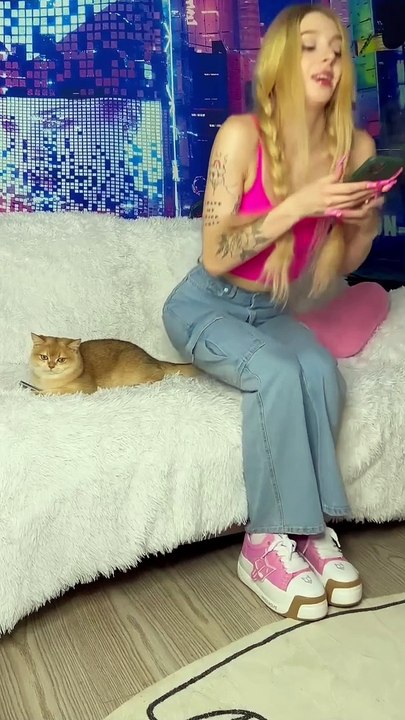 My cat are incredible