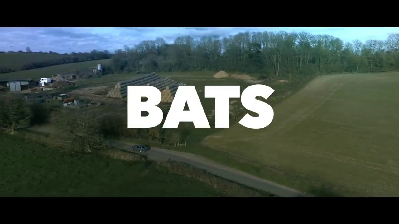 Horror Movie Bats The Awakening Latest Full Horror Movie HD Vídeo