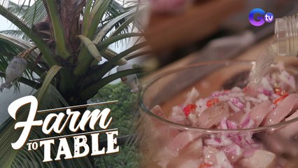 The fermentation process of Vinegar | Farm To Table