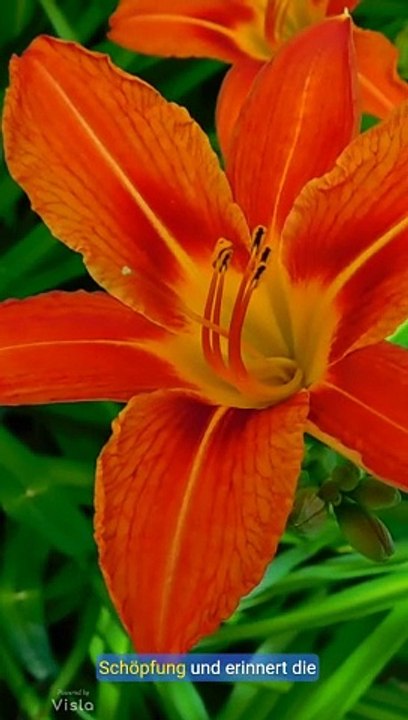 Sure Al-Dschathiya-einige Fakten