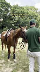 Voilà c'est mon histoire ...