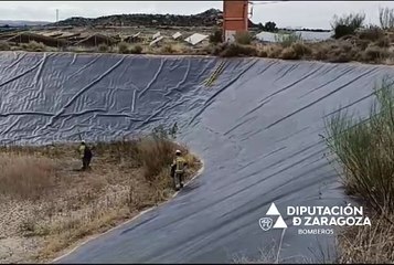 Los Bomberos de la Diputación de Zaragoza rescatan un zorro atrapado en una balsa