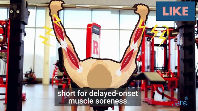 health Lifestyle day Workout