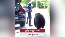 لقاء غير متوقع مع دب
