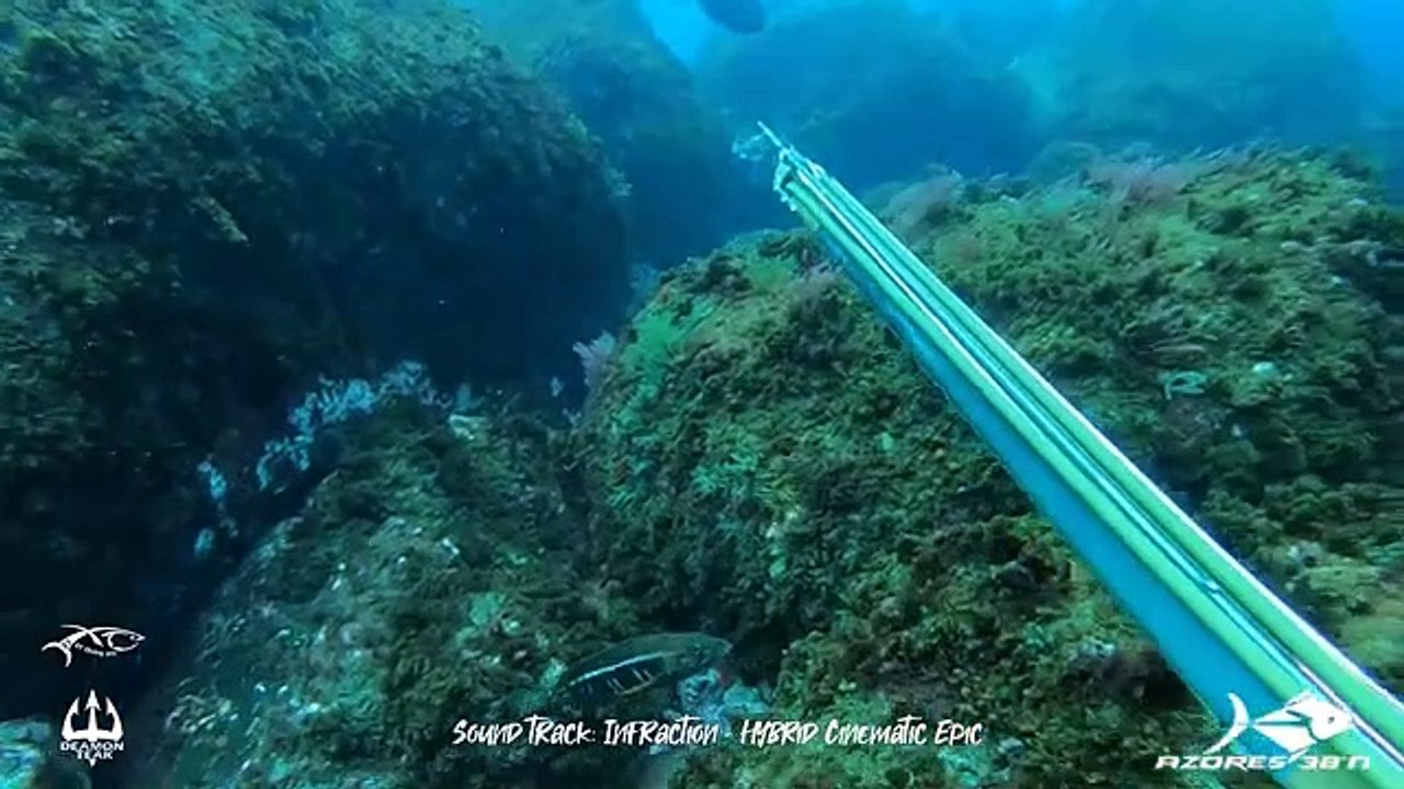 1 Min Video - Atlantic Bonito 3,8kg -