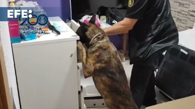 21 detenidos por explotar a mujeres colombianas en Castellón, Madrid, Málaga y Valencia