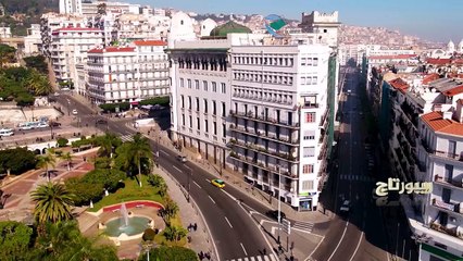 ريبورتاج..  التحول الرقمي والذكاء الإصطناعي.. رهان الجزائر لتحقيق الإزدهار