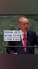 Erdogan: United Nations system is dying in Gaza