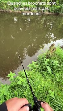 Explication du seum en quelques secondes les brochets suivait énormément ce jours la . #fishing