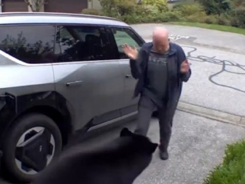 Mit Händeklatschen: Mann scheucht Bär aus Garage