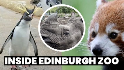 Inside Edinburgh Zoo