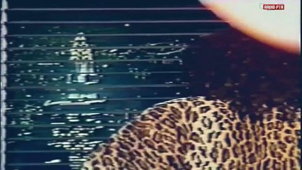 Julian – Straight To My Heart