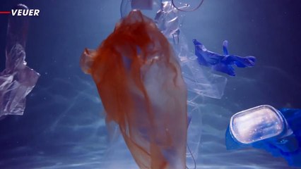 Scientists Discover One Creature Immune to Ingesting Microplastics