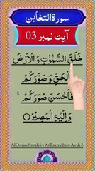 Al-Quran - Surah 64 - At-Taghaabun - Ayah 3 | daily tilawat e quran | hafiz salman ali
