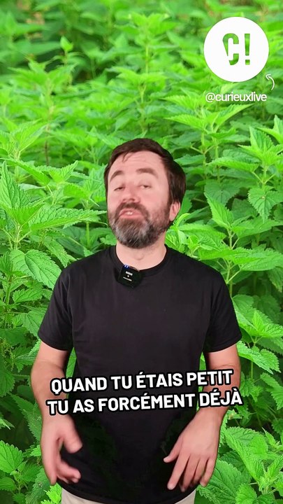 Connaissiez-vous cette étrange légende urbaine sur les orties ?