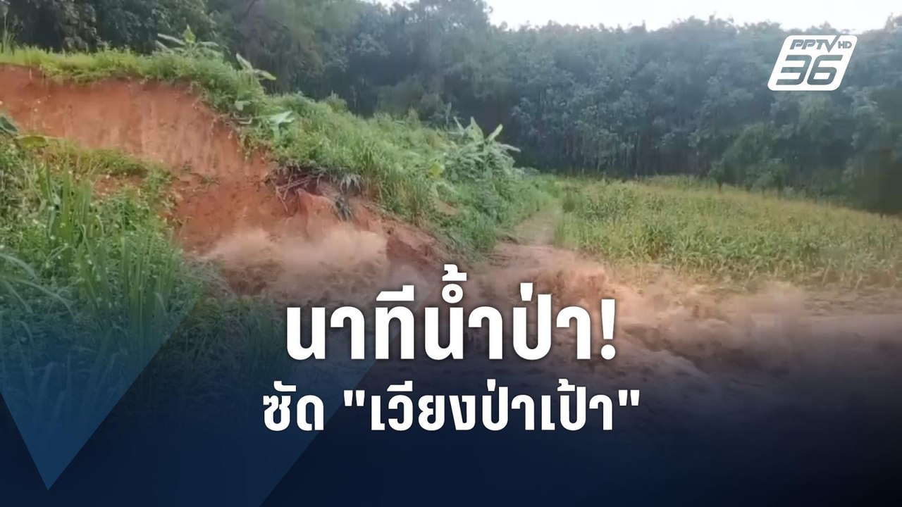 นาที! น้ำป่าไหลหลาก "เวียงป่าเป้า" เสียหายหนัก | PPTV Online