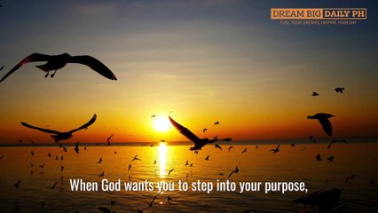 Trusting God's Perfect Timing: How Faith Guides Your Path Forward