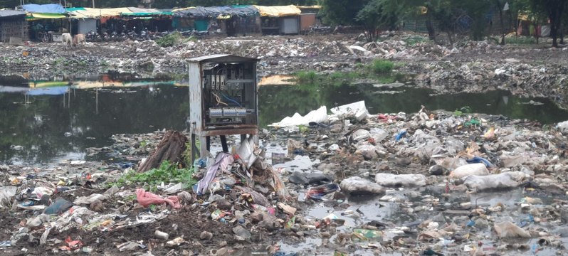 sawaimadhopur...यहां ‘बीमारियों’ के घर बन रहे कचरे के ढेर, जिम्मेदार बेपरवाह