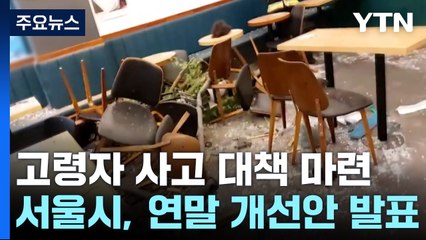 "운전 능력별 면허 관리"...고령자 사고 대책 마련 / YTN