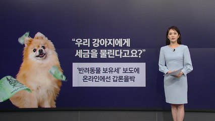 [뉴스NIGHT] 반려동물 키우려면 보유세 내라?...관련 보도에 '갑론을박' / YTN