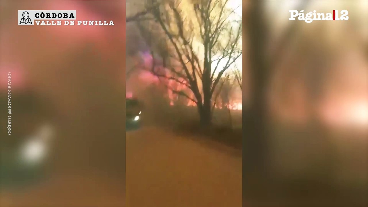 Incendios en Córdoba: El trabajo de bomberos en Villa de Punilla