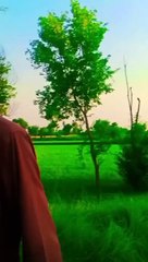 Kisi Ki tareef Kro too|| funny short || real fool || comedy video