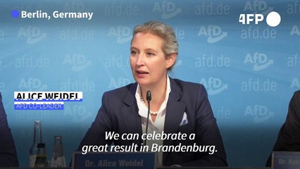 German AfD leaders praise 'successful results' after regional votes