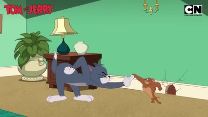 Tom & Jerry _ Just Cat & Mouse Things  Funny Cartoons