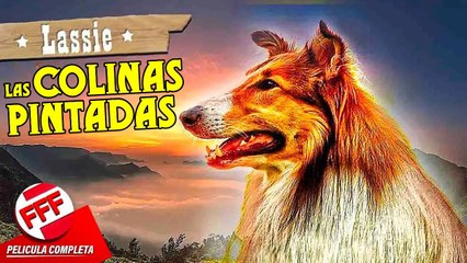 LASSIE - LAS COLINAS PINTADAS  Película Completa de PERROS en Español