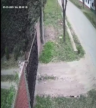 Video: el momento en el que Nicolás Mattioli atropelló y mató a una mujer en Santa Fe