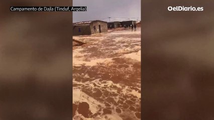 Grandes inundaciones en el campamento de refugiados saharauis de Dajla (Tinduf, Argelia)