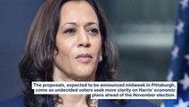 Kamala Harris Reportedly Set To Unveil New Economic Policies In Pittsburgh This Week: Its About Showing Voters They Have A Path To 'Building Wealth'