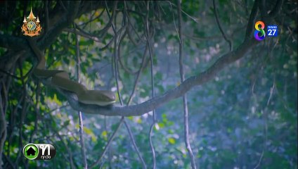 บุหลันมันตรา ตอนที่ 41 (EP.41) วันที่ 23 กันยายน 2567  ย้อนหลัง