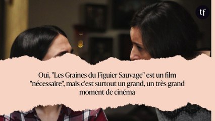 Oui, "Les Graines du Figuier Sauvage" est un film "nécessaire", mais c'est surtout un grand, un très grand moment de cinéma