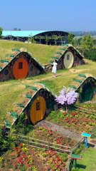 New house design in greenery