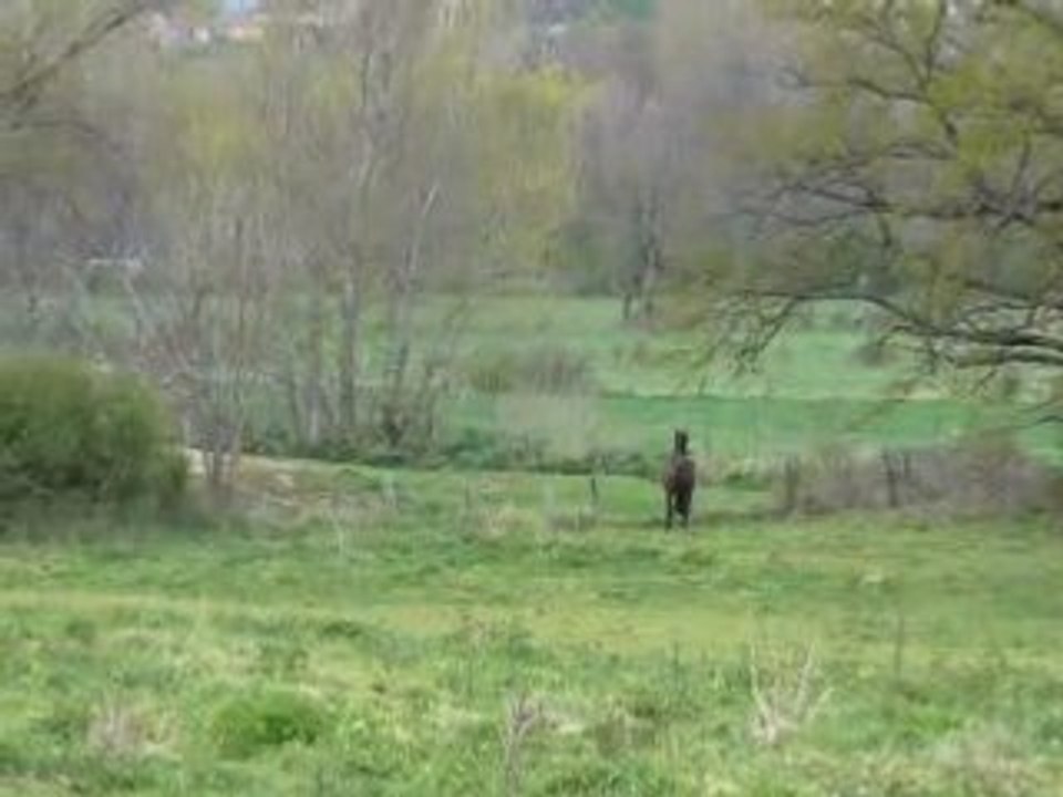 Vidéo3 20-04-2008