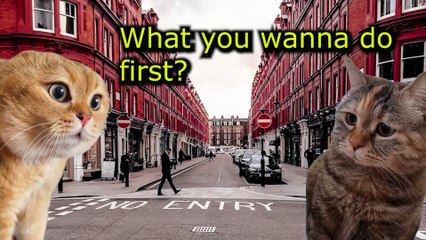 What Do Cats Do When They are in London? #catmemes