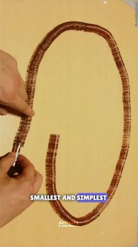 Simple Electric Train Science #science #biology #physics #chemistry #technology #education #space #engineering #nature #research #facts #nasa #astronomy #art #scientist #universe #knowledge #stem #medicine #love #memes #bhfyp #health #sciencememes #math #