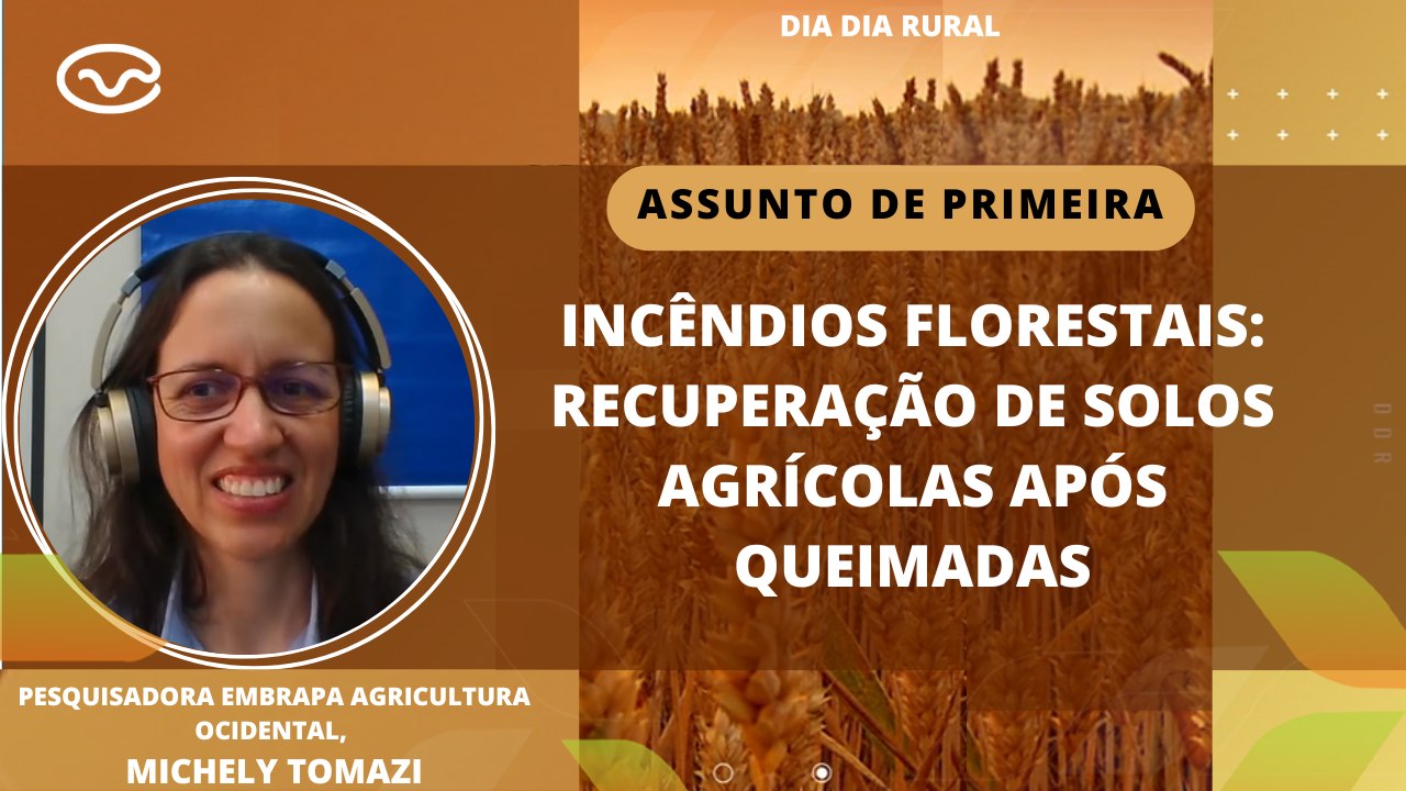 Incêndios florestais: recuperação de solos agrícolas após queimadas