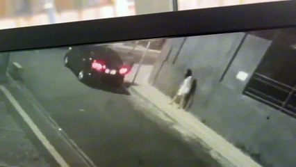 VÍDEO: Bandidos “devolvem” cachorro sequestrado após ouvirem que animal era idoso